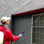 autumn-service-1-cropped