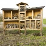 Bee home