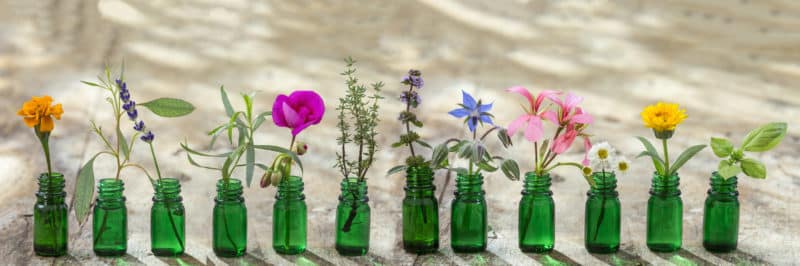 Essential oil bottles