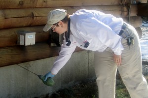 Heather 1 Pest Control Inspection