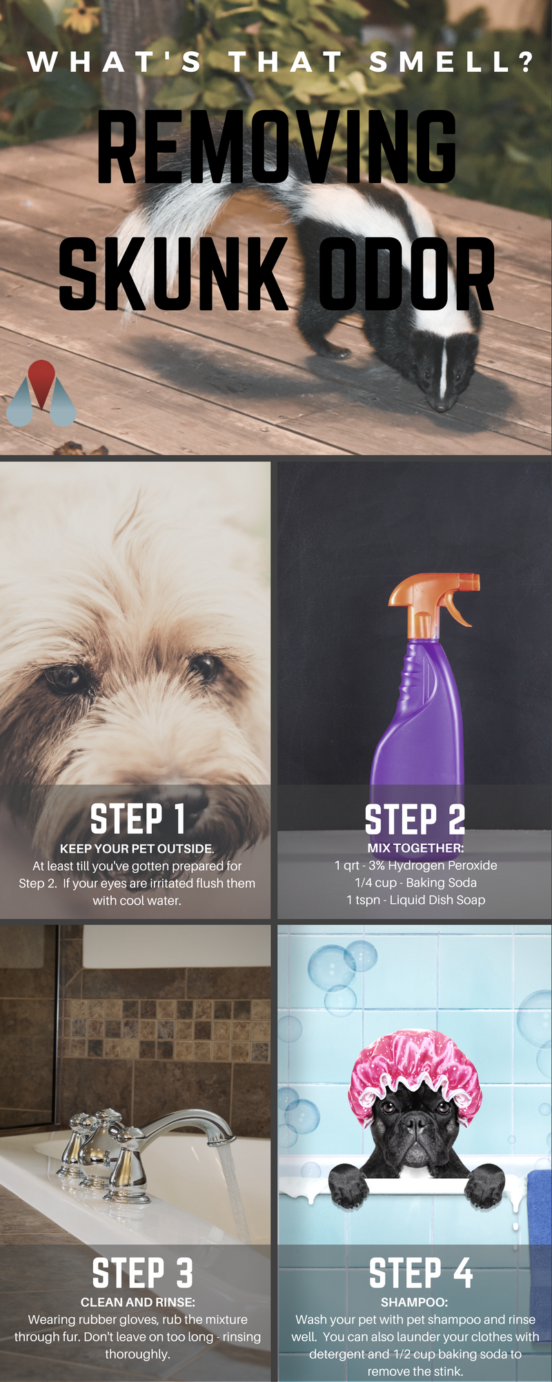 Remove Skunk Odor Infographic