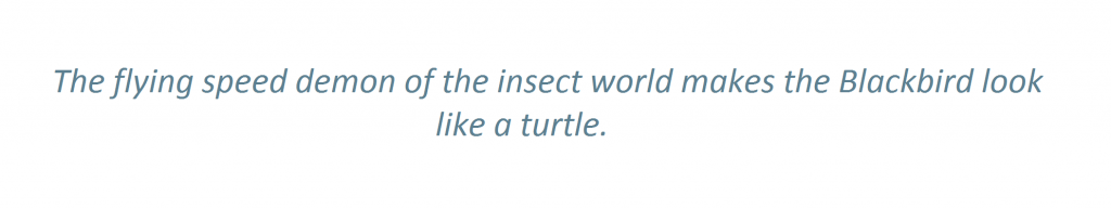 Pest Quote