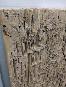 Termite Damage 2 Termite Damage
