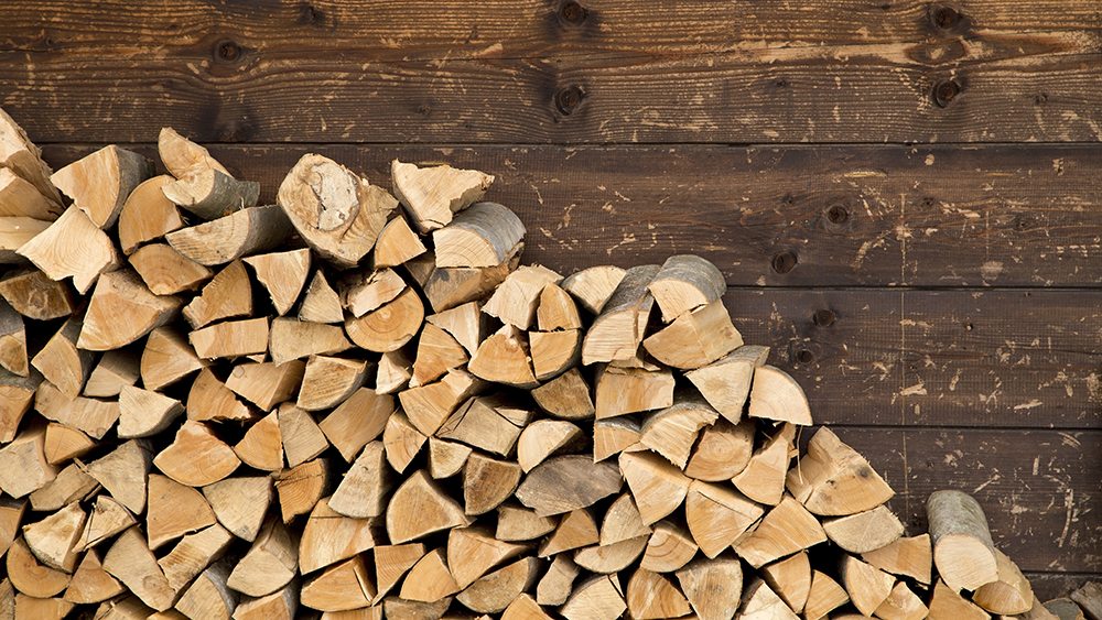 Pile of firewood