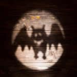 shadow of bat