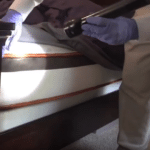 Bed Bug inspection