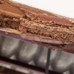 Damage from termites