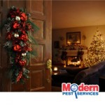 Pest Free Holiday