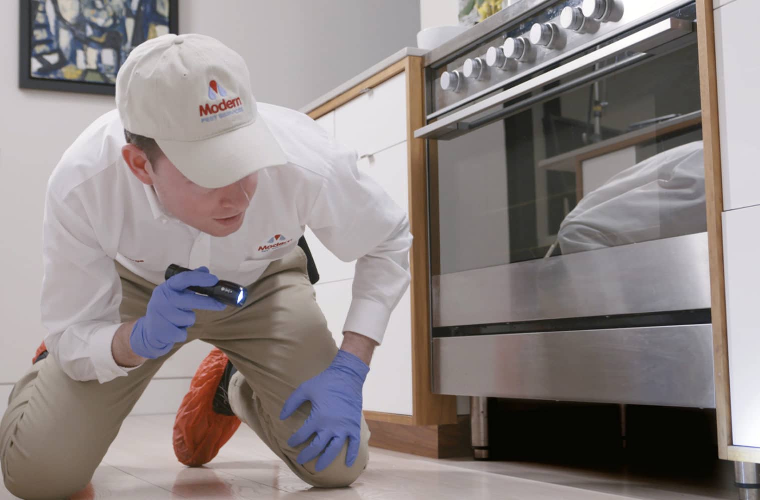 Pest control expert