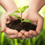 Modern's HomeCare organic pest control protects our environment