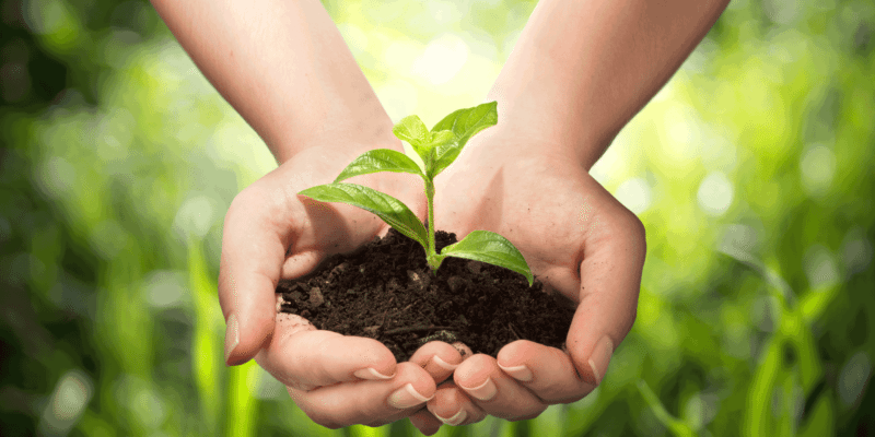 Modern's HomeCare organic pest control protects our environment