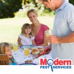 pest-prevention-tips New England pest control experts offer pest prevention tips
