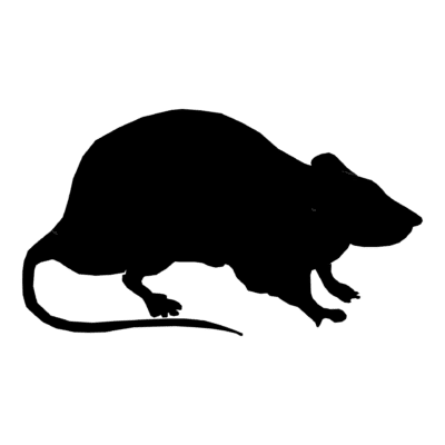 Rat icon