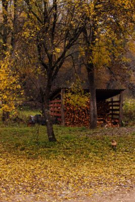 Autumn landscape of wood countryside life with firewood barn