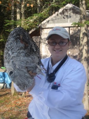 What’s Buzzing Around Your Home?