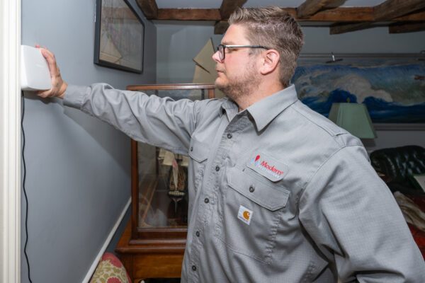 Unlock Next-level Mouse Control Solutions: Modern Pest Services SMART