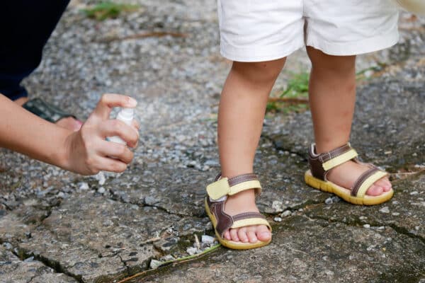 Top Tips for Tick Prevention in New England