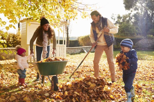 How to Winterize Your Home Against Pests