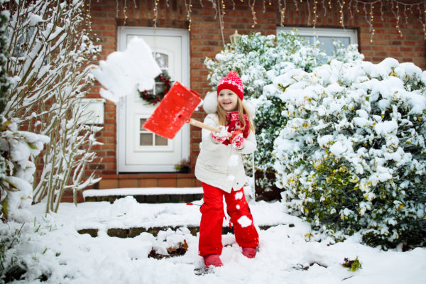 Modern’s Experts Explain How Winter Affects Pests