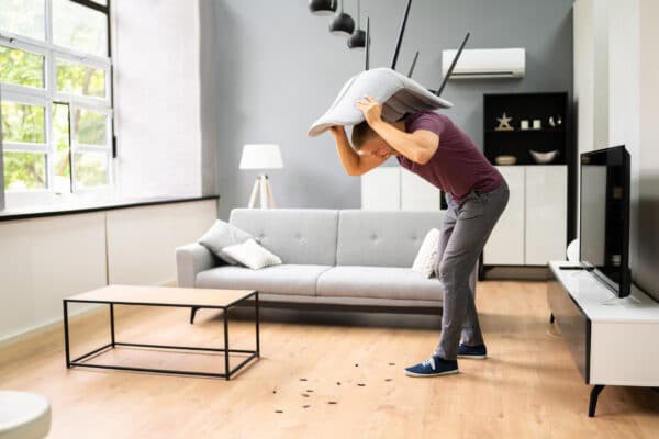 Is Year-Round Pest Control Important for Your Home?