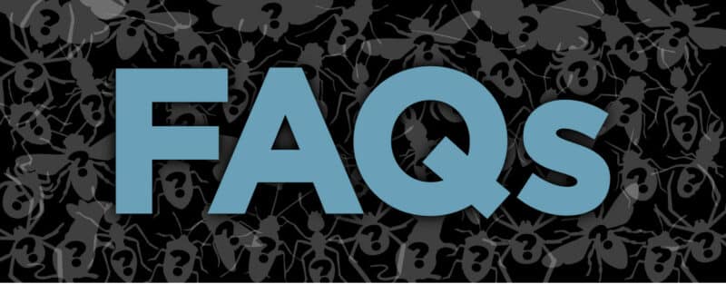 Modern’s Frequently Asked Questions