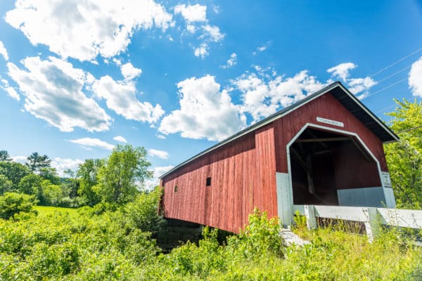 What Pests Will You Encounter on Your New Hampshire Vacation?