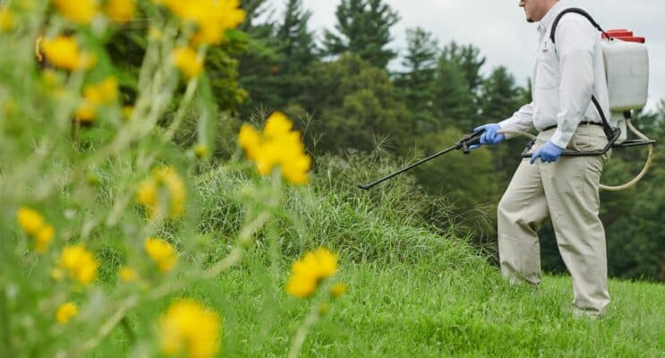 Ticks are a Year-Round Issue in New England