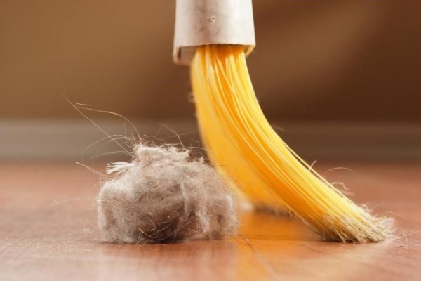 Tips for Preventing Spring Pests