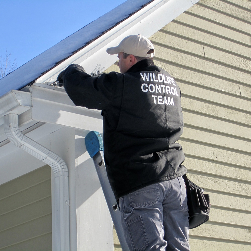 Wildlife Control Team