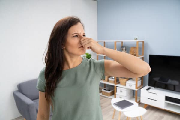 Recognizing the Smells That Mean You Have Mice