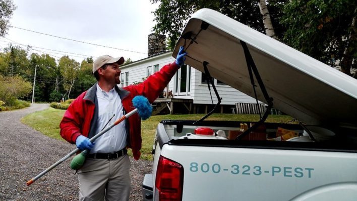 The Top Four Questions We Get Asked About Pest Control