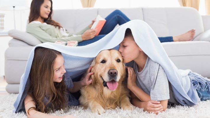 Is Pest Control Safe For My Family and Pets?