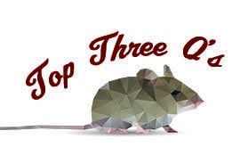 The Top Three Mice Questions