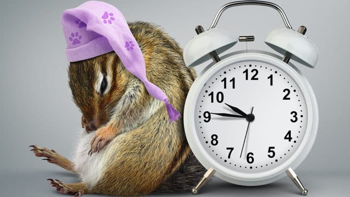 Eight Facts About Torpor and Hibernation