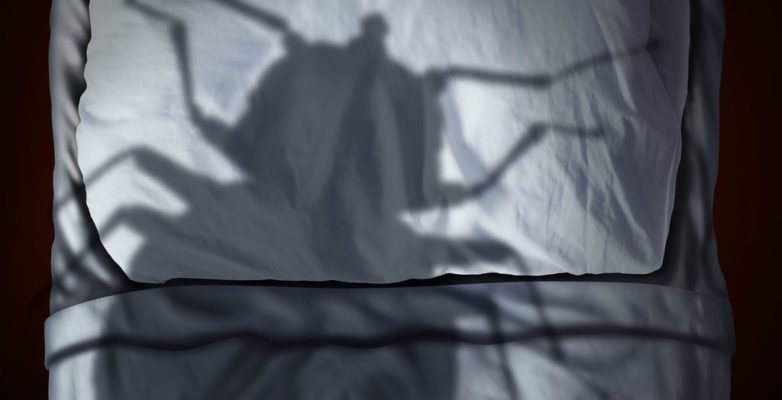 Get Rid of Bed Bugs: What you need to know