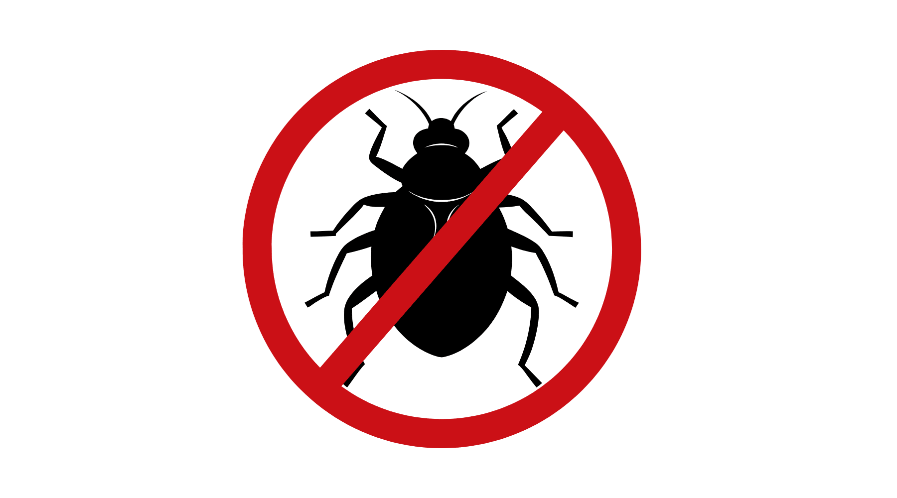 bed bug treatment