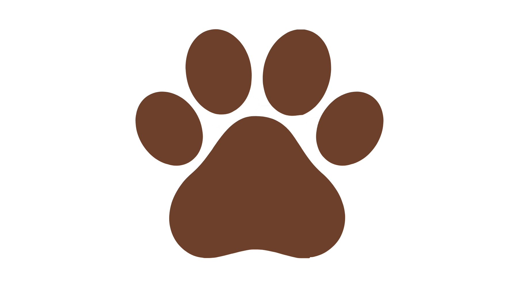 modern pest canine bed bug inspection