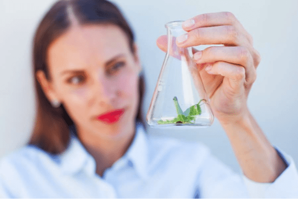Irk or Inspire? Bugs That Brought Advances in Science and Technology